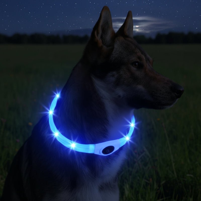 LED Waterproof Dog Collar with Rechargeable Lights