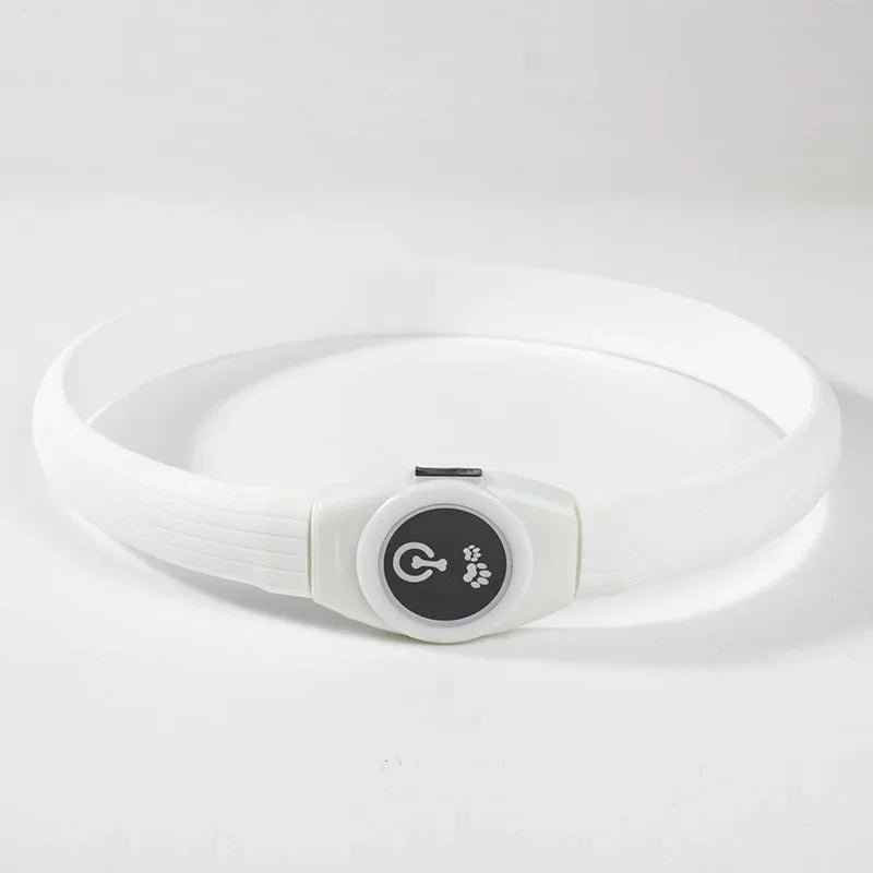 LED Waterproof Dog Collar with Rechargeable Lights