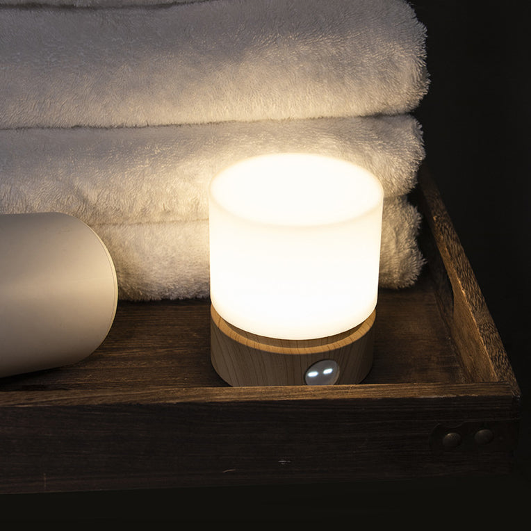 Contemporary Nordic Rechargeable LED Table Lamp