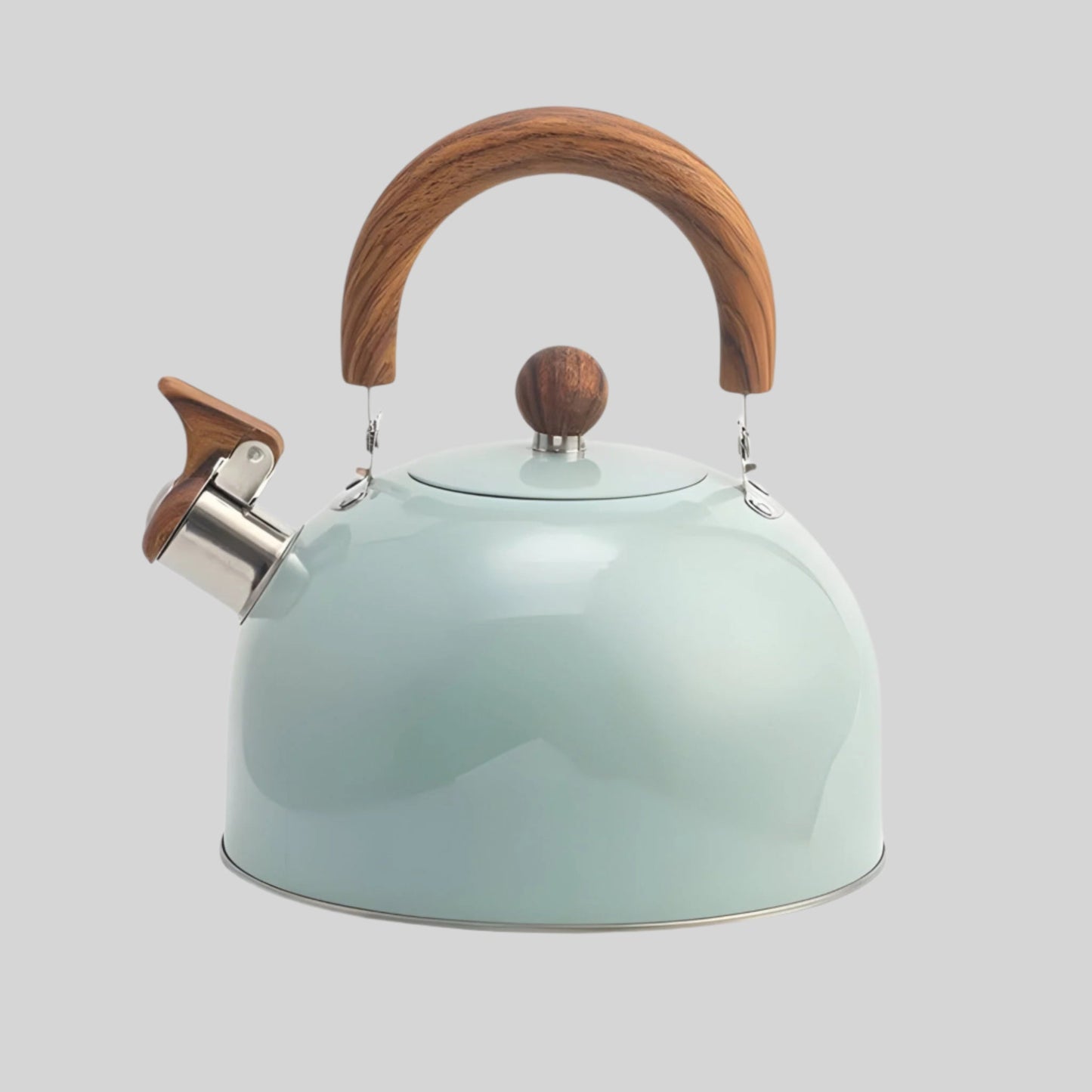 Stainless Steel Whistling Kettle 2.5L Induction Tea Pot