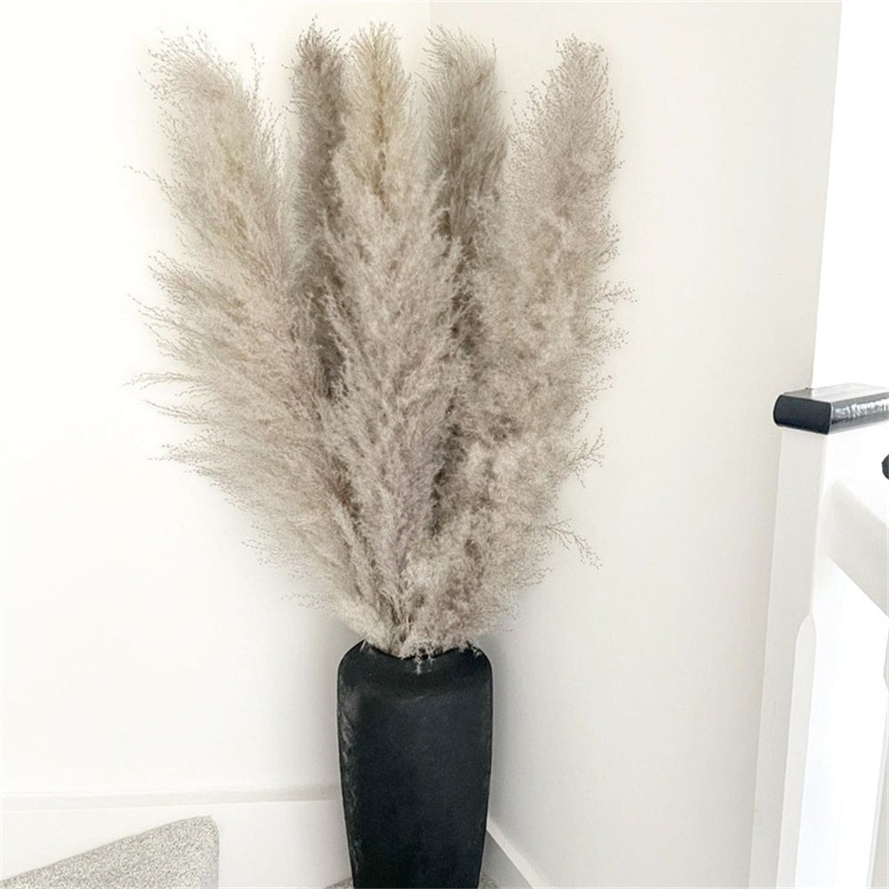 Dried Pampas Grass Flowers - Natural Boho Decor