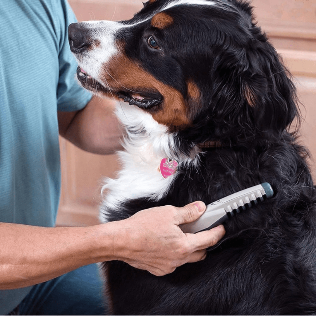 Gentle Pet Coat Trimmer for Cats and Dogs
