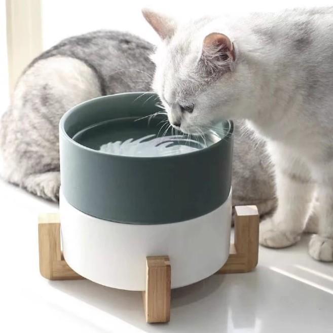 Ceramic Pet Feeding Bowl with Bamboo Base