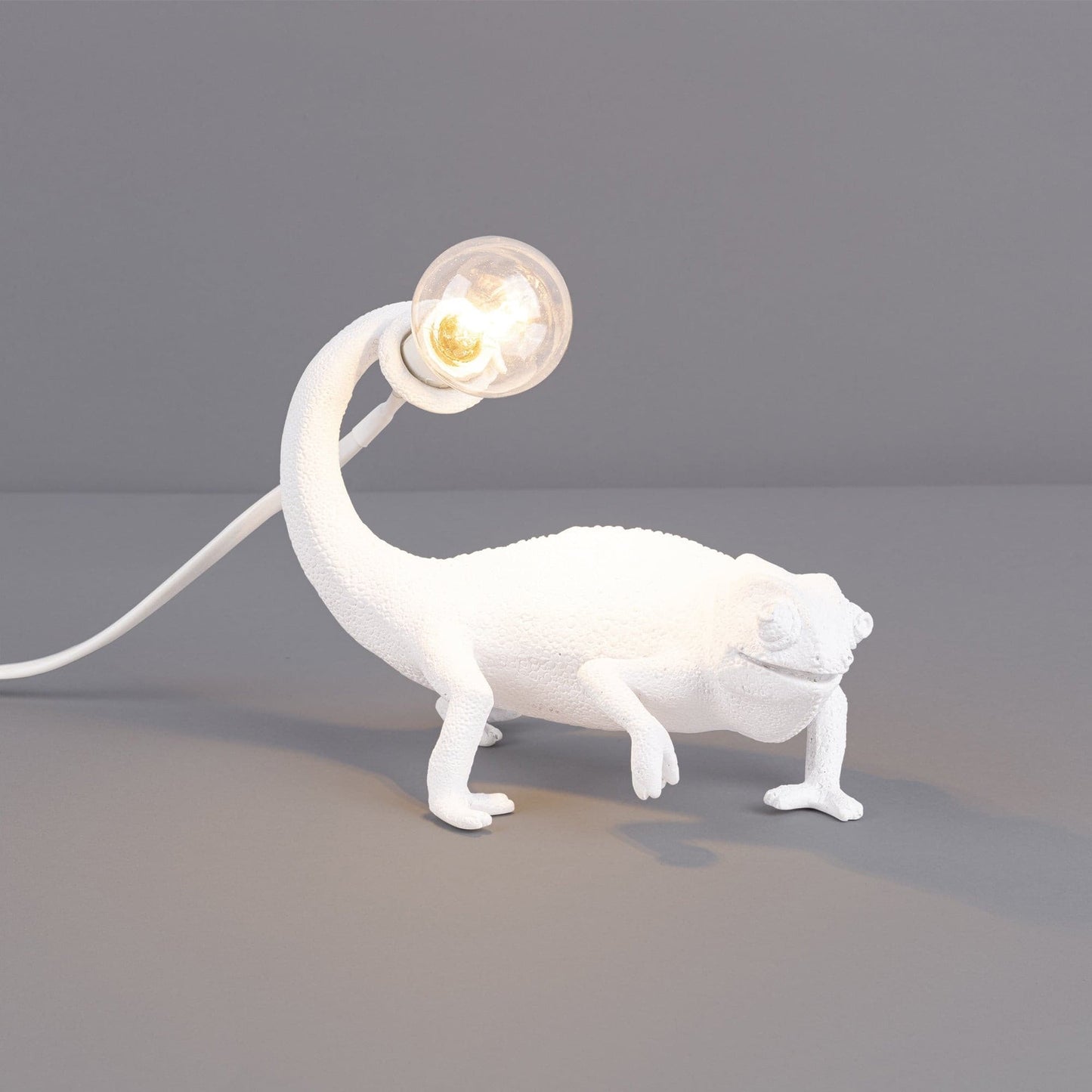 Chameleon Accent Resin Table Lamp with Soft Illumination