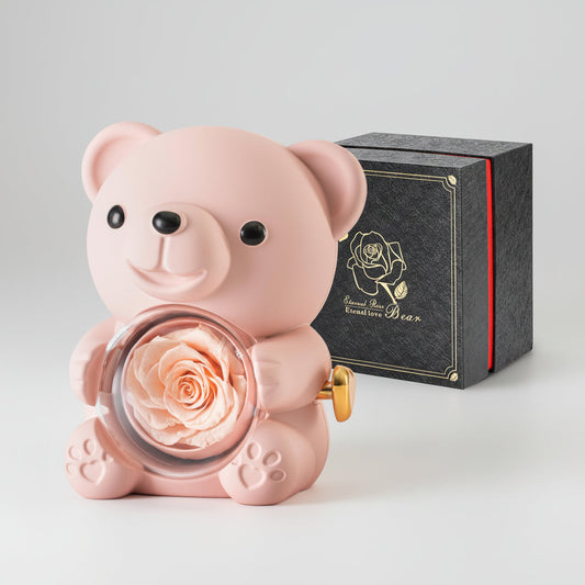 Preserved Rose Teddy Bear with Hidden Jewelry and Heart Necklace