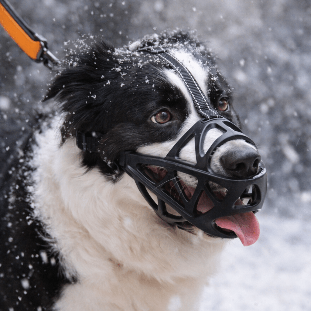 Gentle Soft Dog Muzzle for Comfortable Behavior Control
