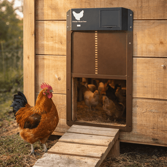 Automatic Chicken Coop Door with Light Sensor and Weather Protection