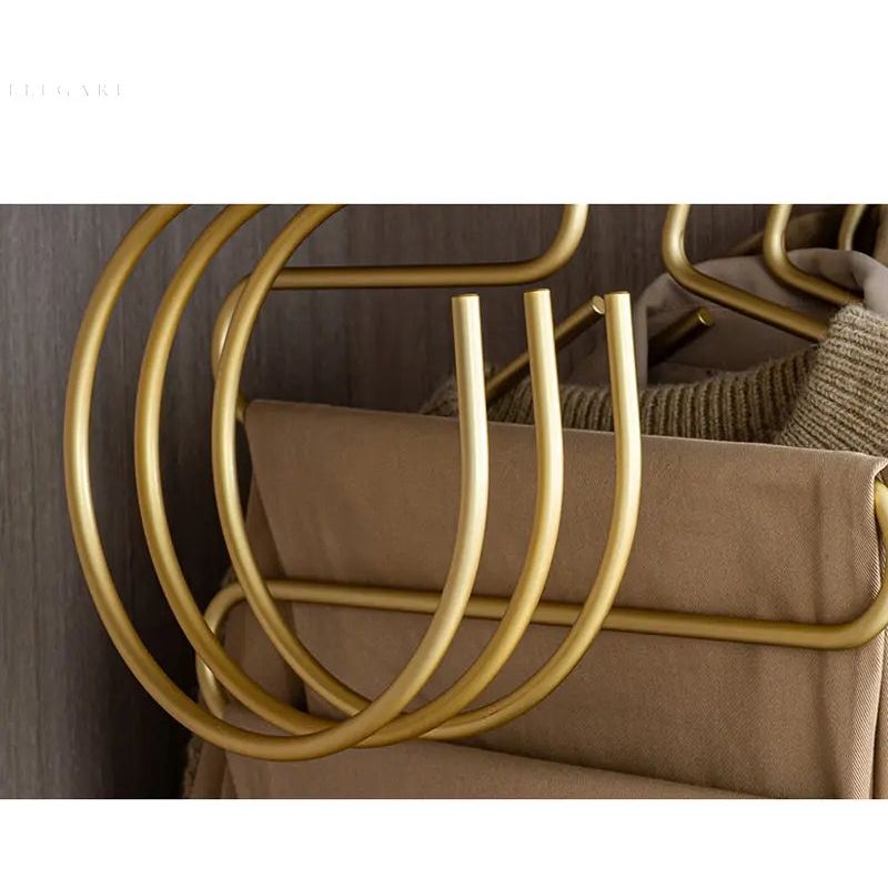 S-Shaped Metal Wardrobe Hangers Set of 5 - Matte Gold and Silver