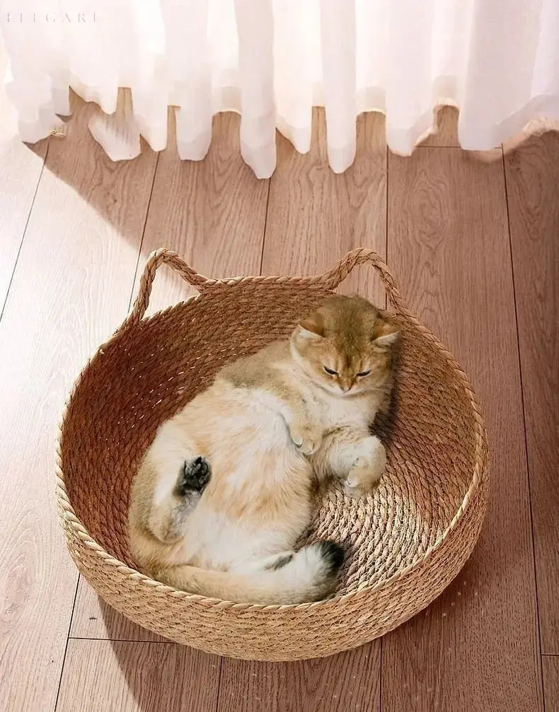 Super Soft Plush Cat Bed with Removable Cushion for Comfort and Support