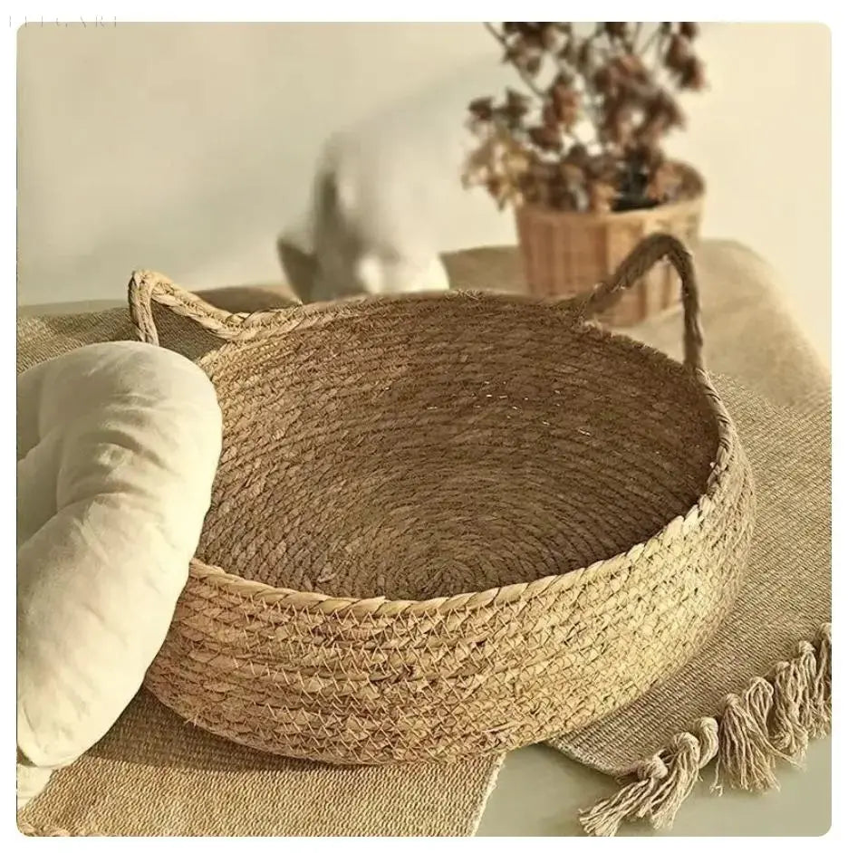 Super Soft Plush Cat Bed with Removable Cushion for Comfort and Support