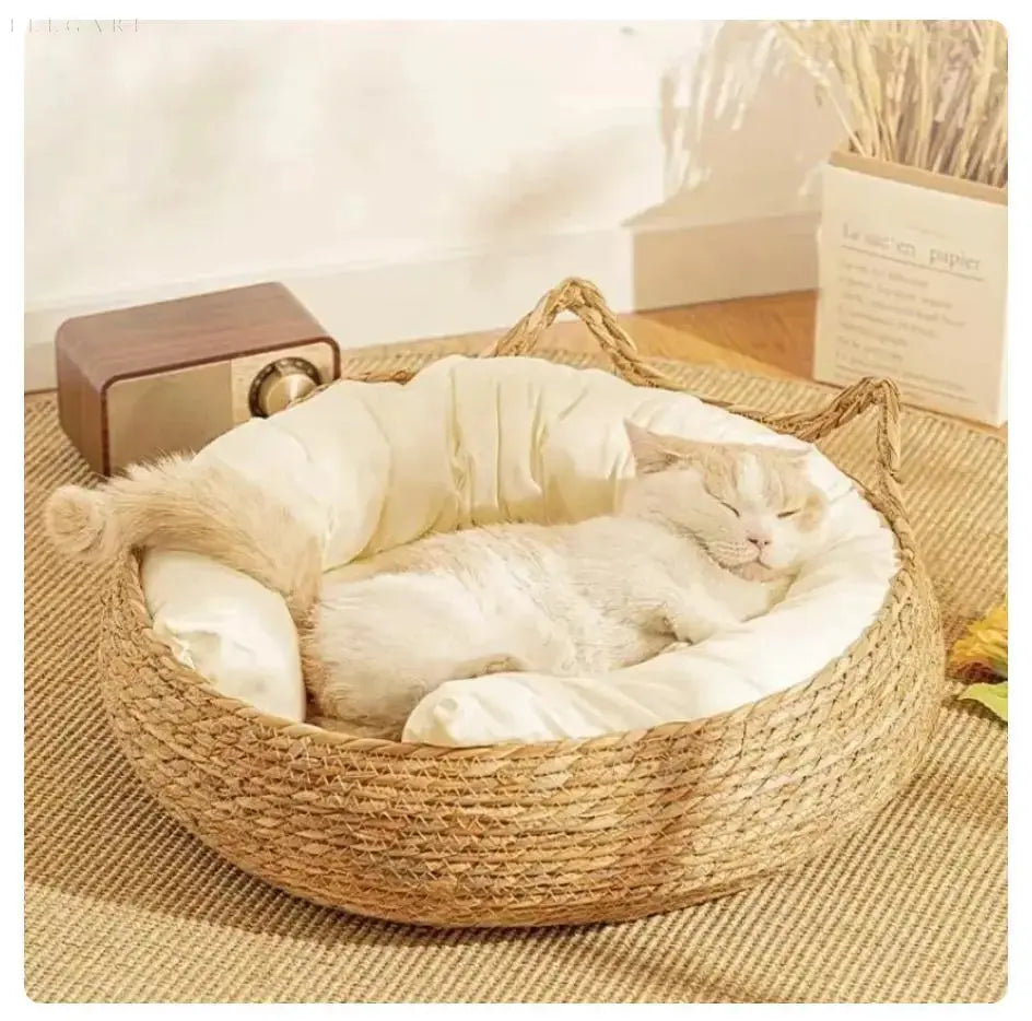 Super Soft Plush Cat Bed with Removable Cushion for Comfort and Support