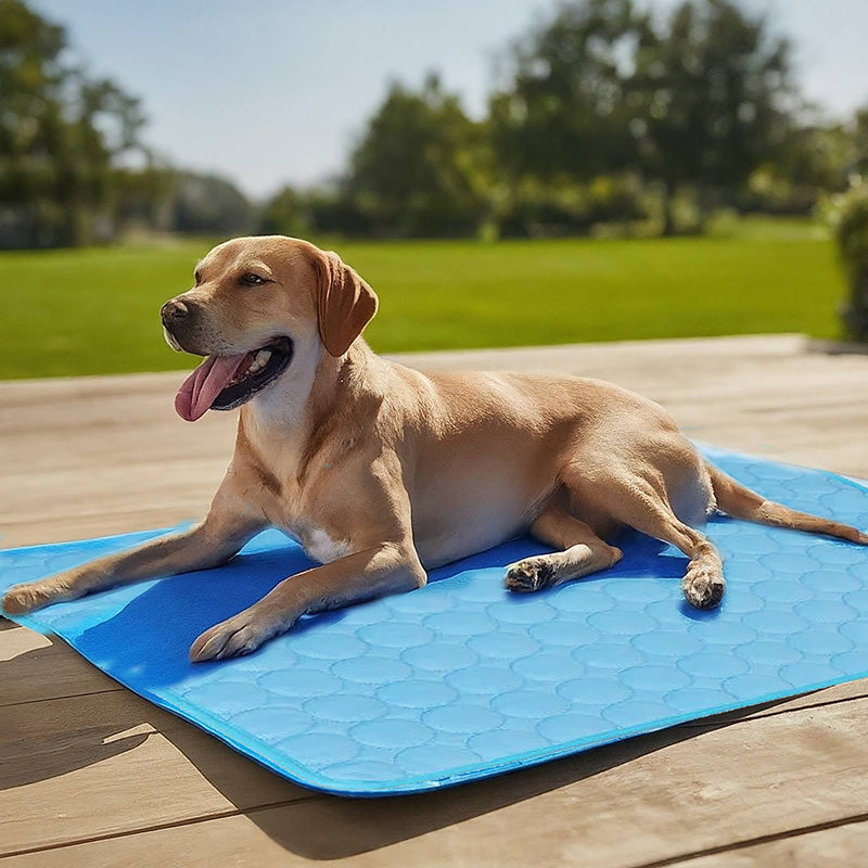 Self-Cooling Pet Mat for Dogs - Summer Thermal Relief