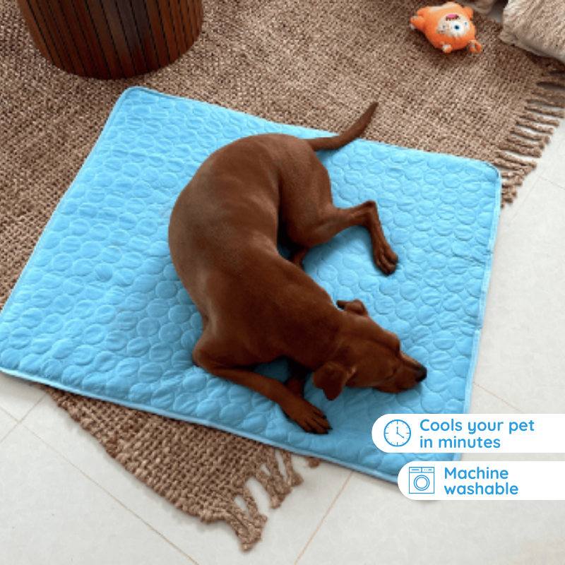 Self-Cooling Pet Mat for Dogs - Durable, Easy to Clean