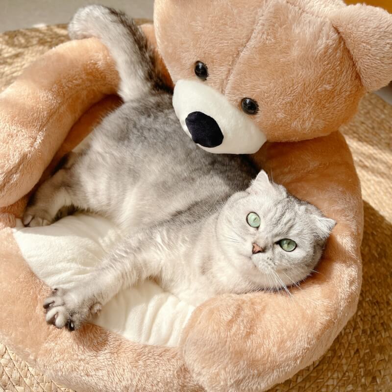 Detachable Bear Cat Bed with Cozy Kerseymere and PP Cotton