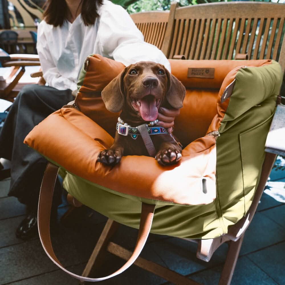 Luxury Dog Car Seat with Safety Belt for Stylish Rides