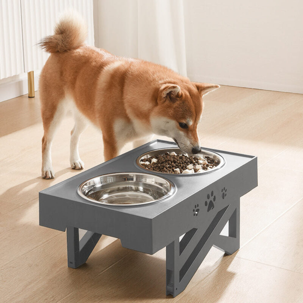 Adjustable Elevated Dog Bowl with Anti-Spill Design