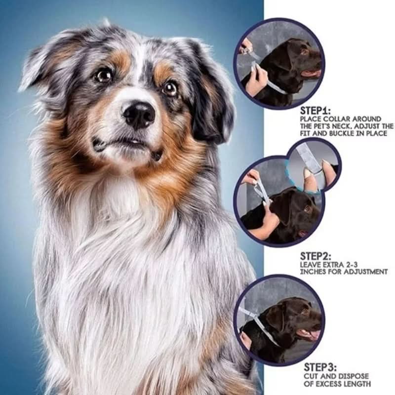Anti-Tick and Flea Collar