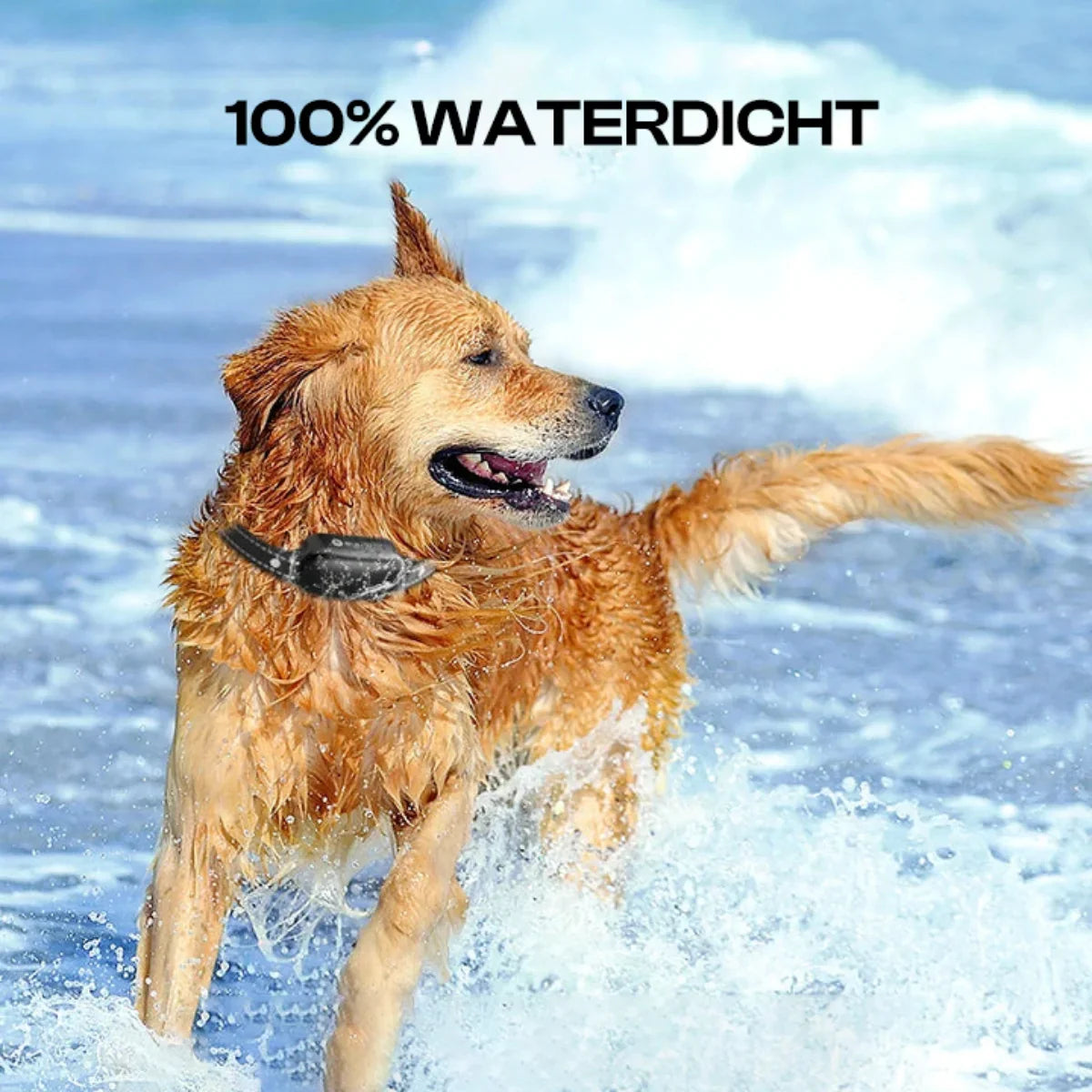 Electric Dog Training Collar with Remote, Waterproof, 1000m Range, 16 Shock Levels, Beep & Vibration Modes