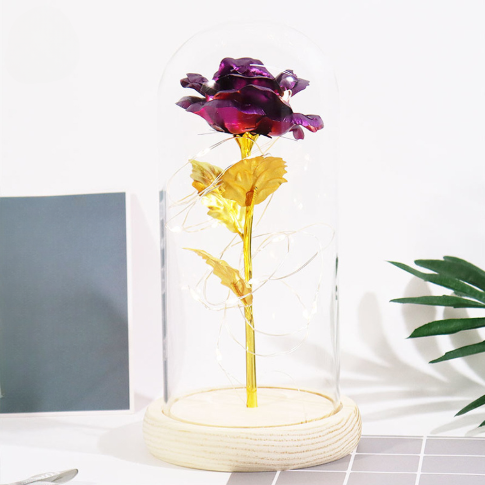 Everlasting Rose in Glass Dome with LED Lights