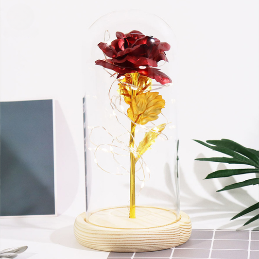 Everlasting Rose in Glass Dome with LED Lights
