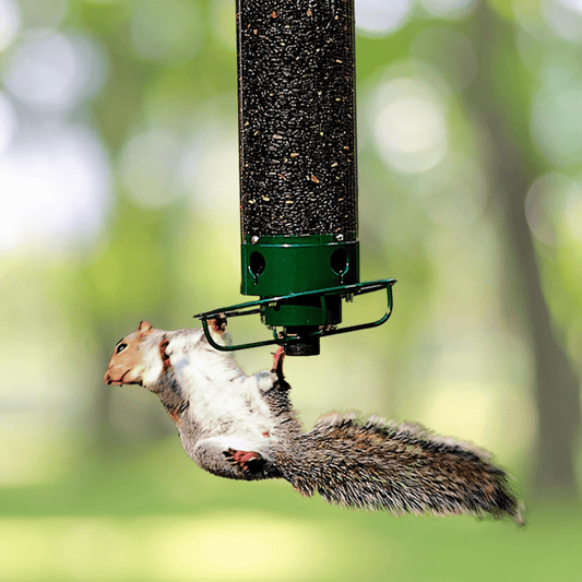 Squirrel-Proof Birdhouse with Rotating Perch and 4 Feeding Openings