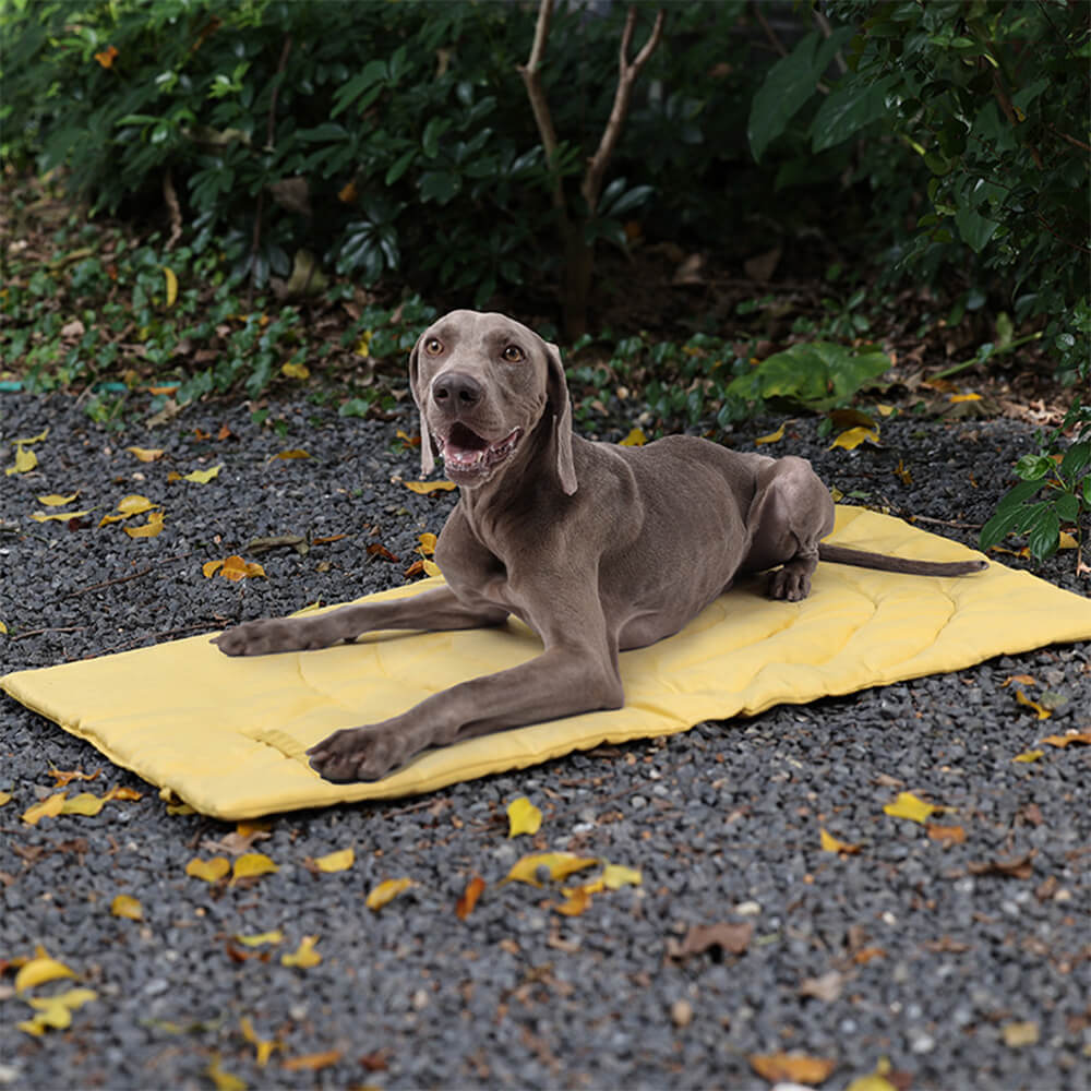 Folding Waterproof Portable Dog Car Seat Mat