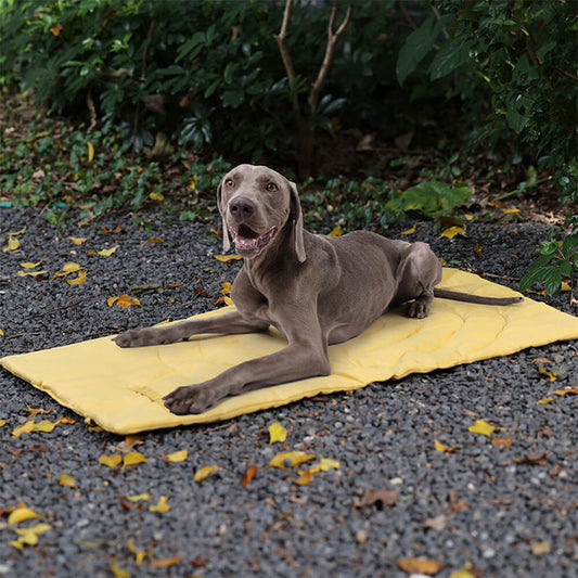 Folding Waterproof Portable Dog Car Seat Mat
