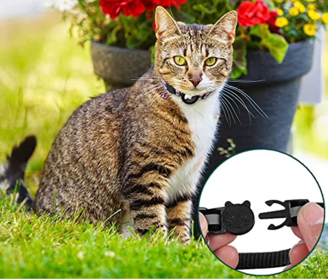 GPS Cat Tracker Collar with Quick Release and Reflective Nylon Design