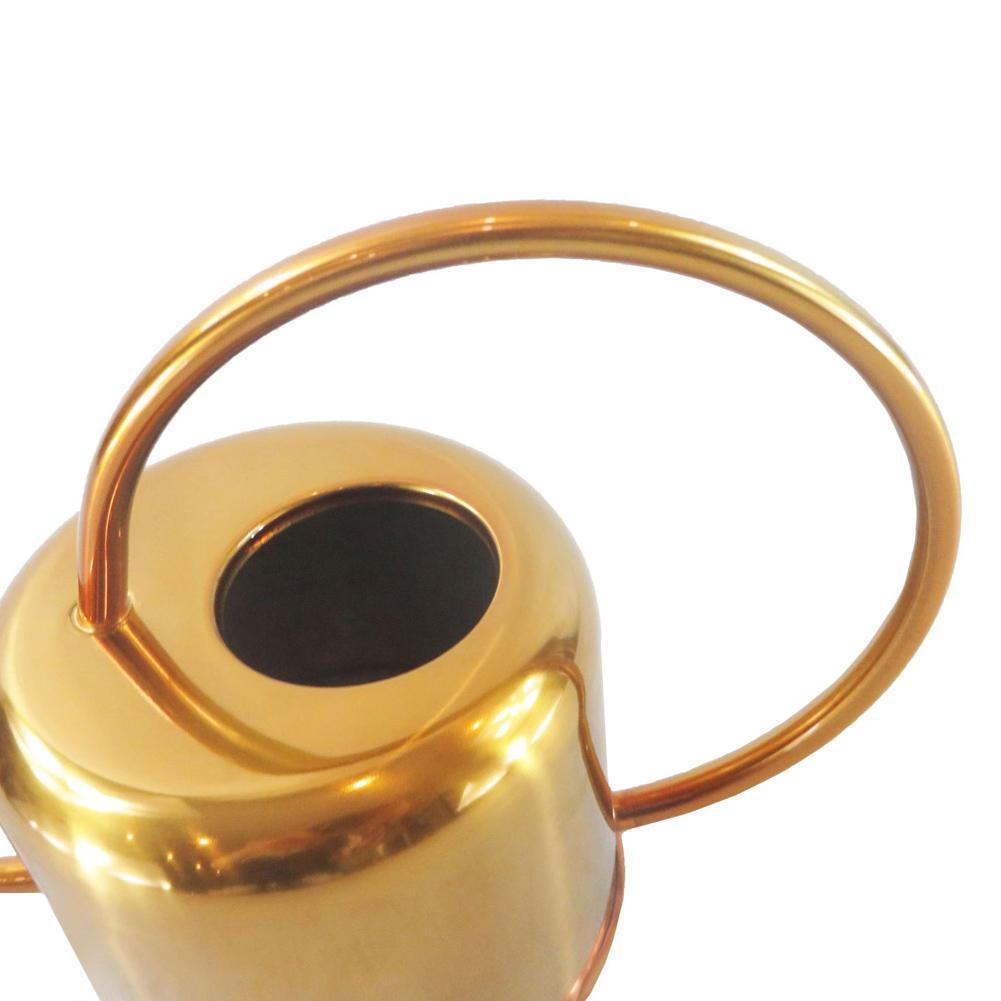 Gold Stainless Steel Watering Can for Houseplants