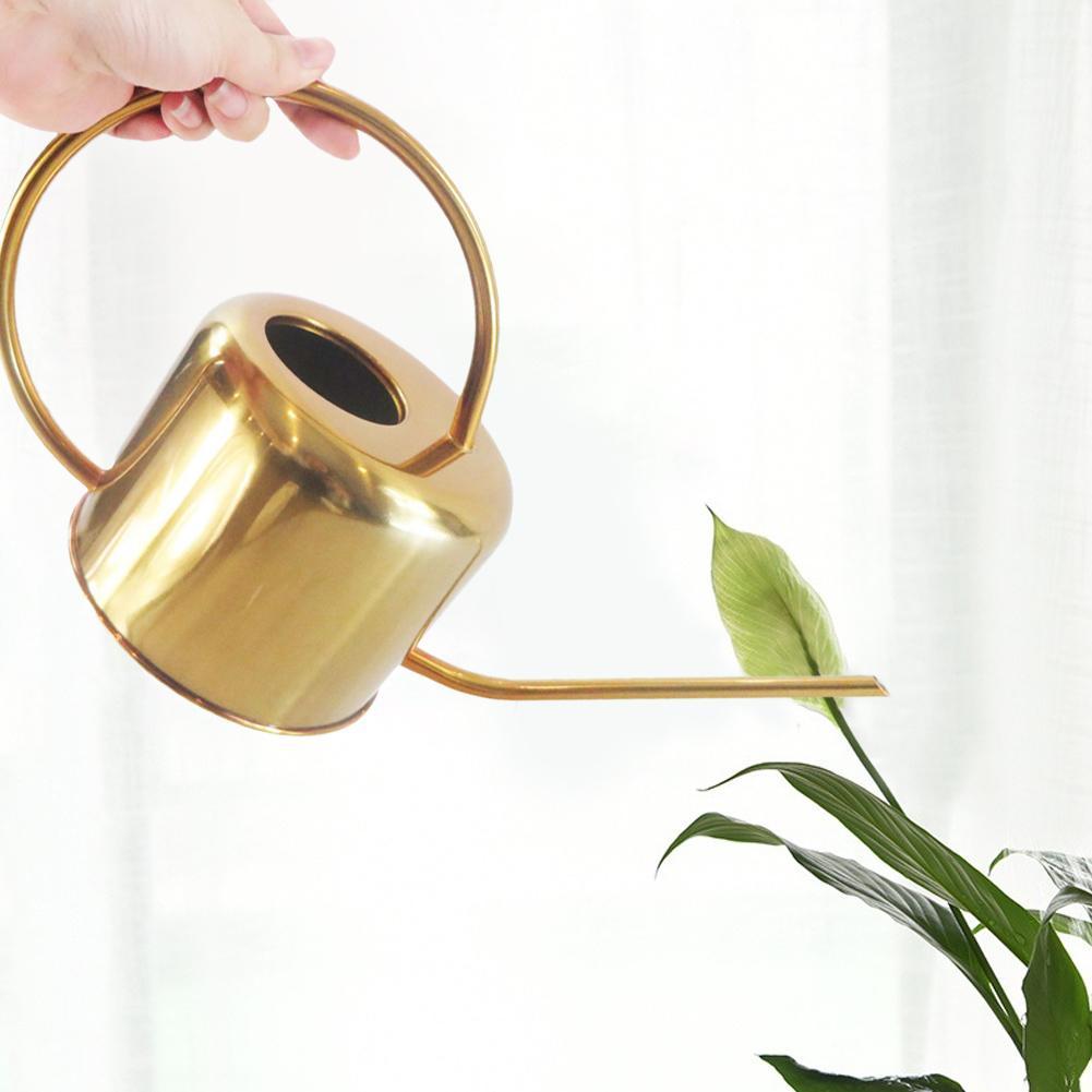 Gold Stainless Steel Watering Can for Houseplants