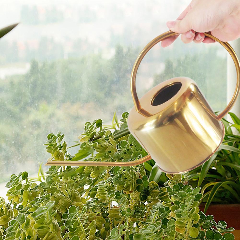 Gold Stainless Steel Watering Can for Houseplants