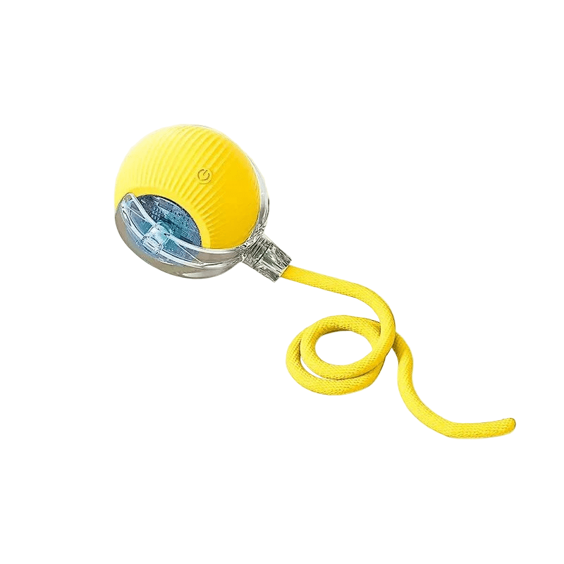 Interactive Rechargeable Dog Ball with Automatic Movement