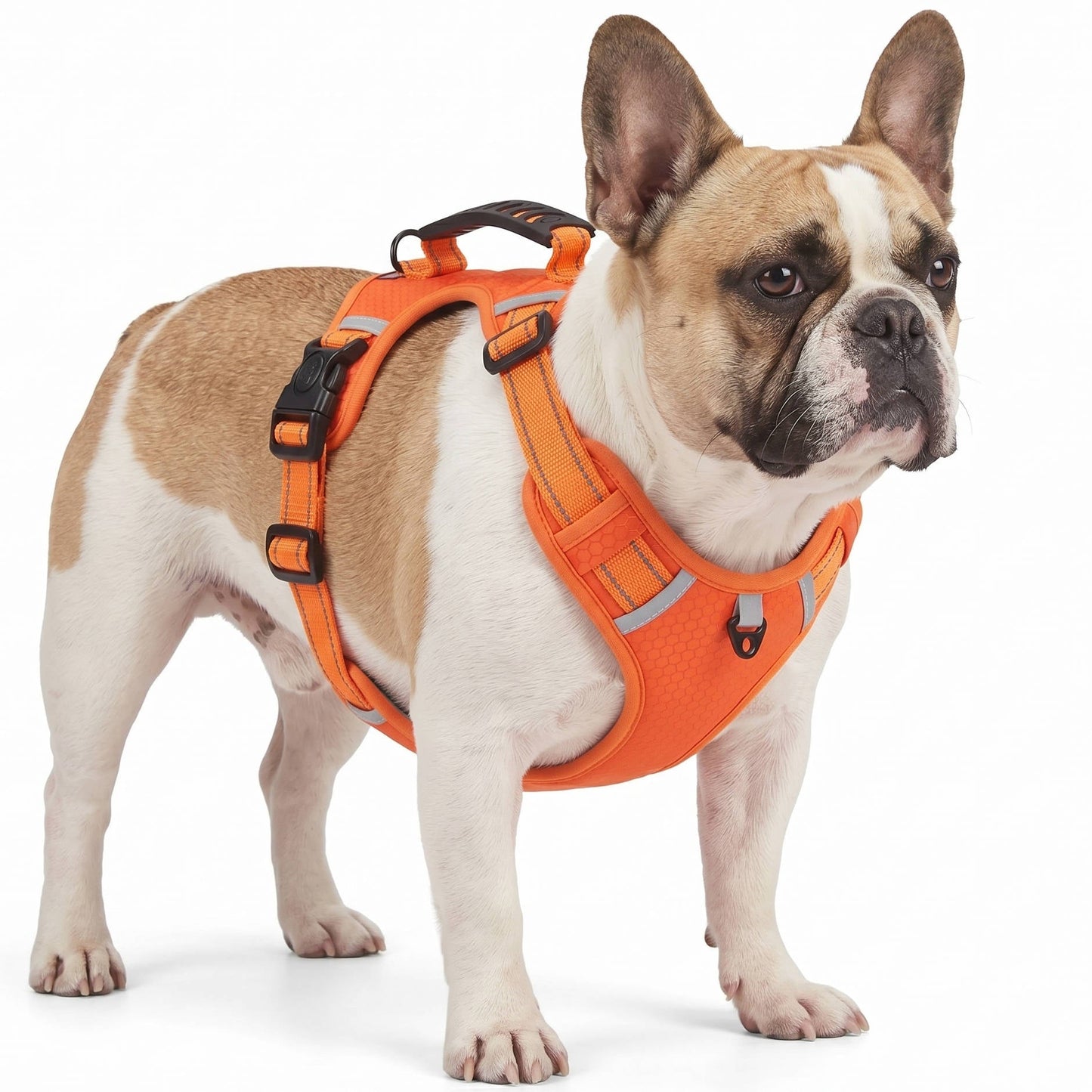 Adjustable Reflective Dog Harness with Breathable Mesh for Small to Medium Dogs