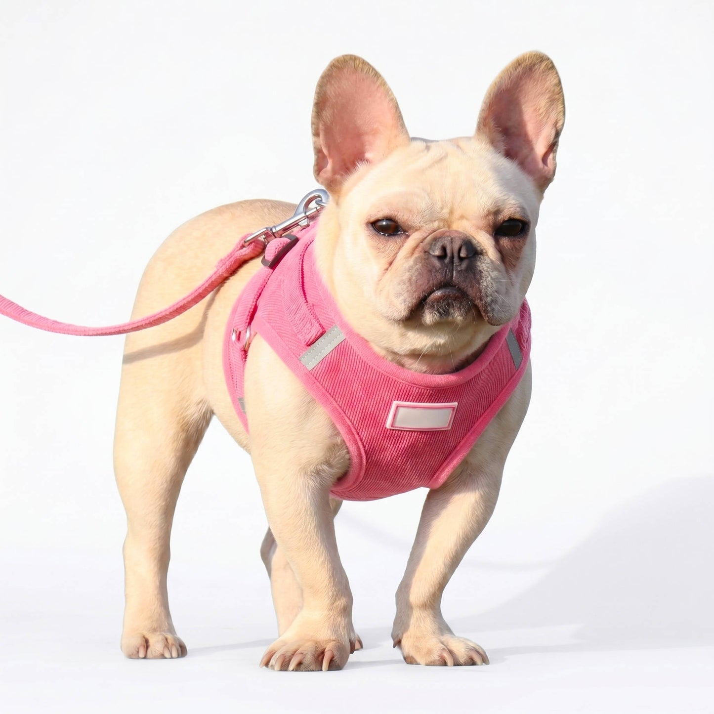Reflective Corduroy Dog Harness and Leash Set for Small to Medium Pets