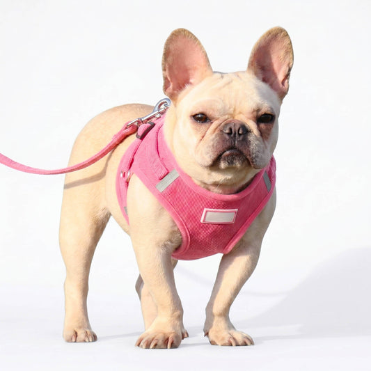 Reflective Corduroy Dog Harness and Leash Set for Small to Medium Pets