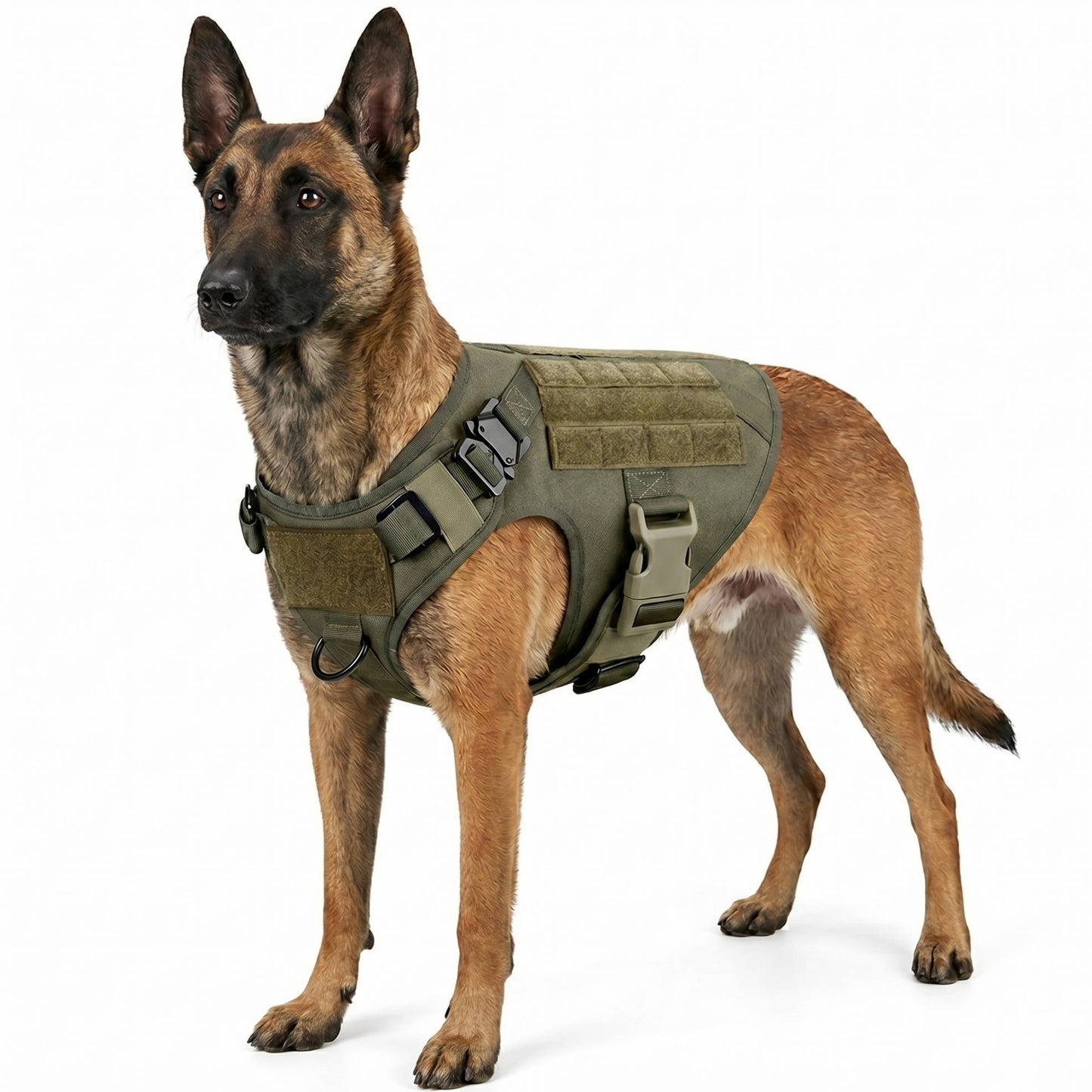 Adjustable Tactical Dog Vest Harness with Leash and Collar for Medium to Large Breeds