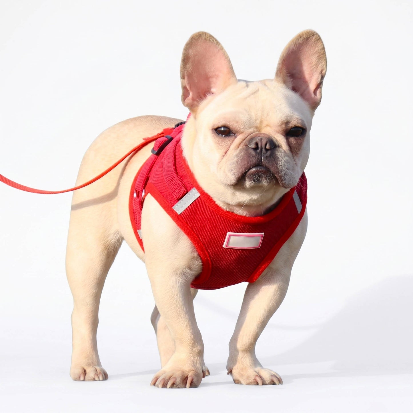Reflective Corduroy Dog Harness and Leash Set for Small to Medium Pets