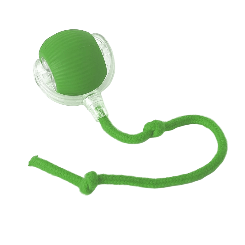 Interactive Rechargeable Dog Ball with Automatic Movement