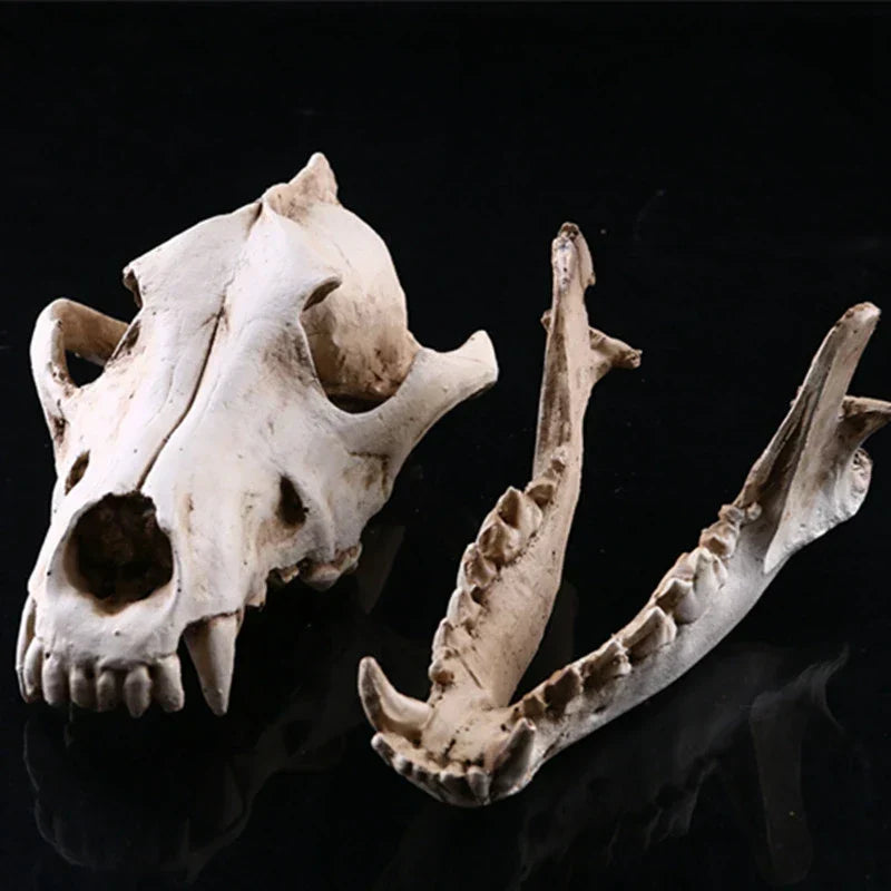 Wolf Skull Resin Sculpture Figurine