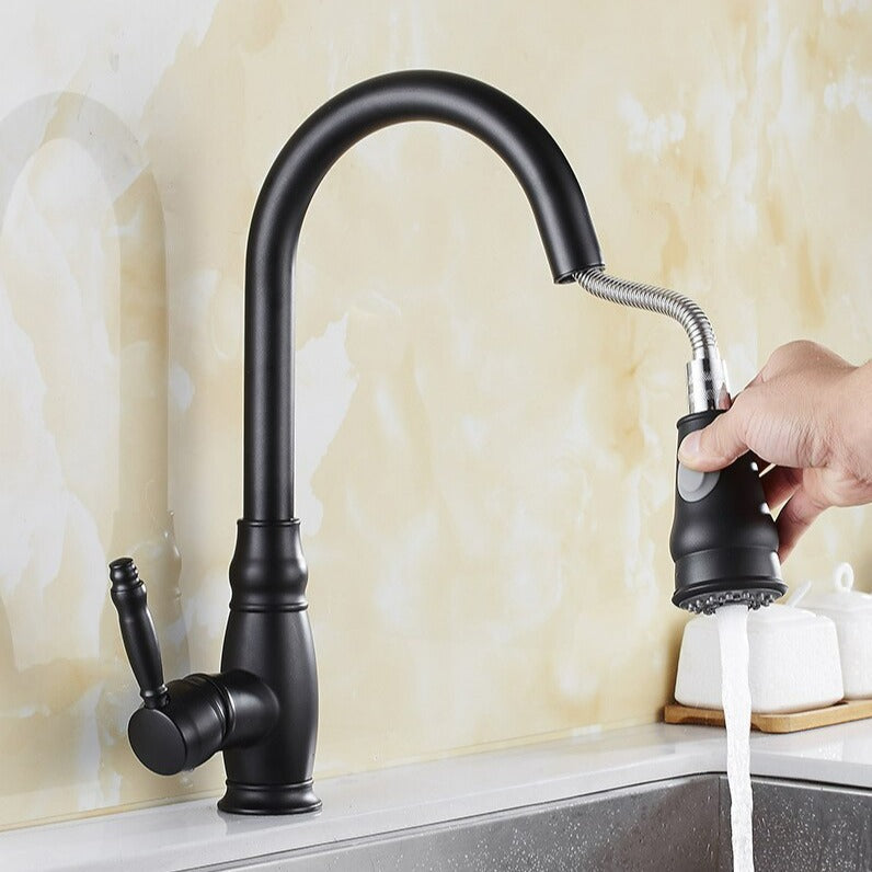 Retractable Kitchen Faucet with Dual Function Spray