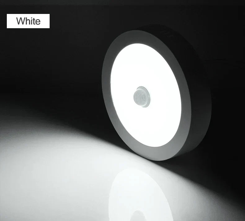 Motion Sensor LED Ceiling Lights - Aluminum Recessed Lighting