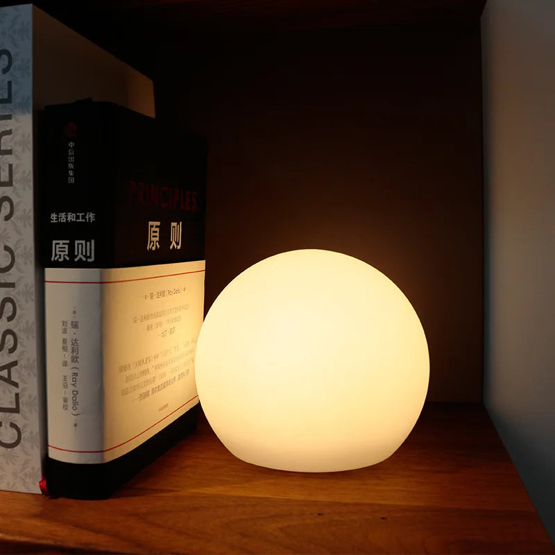 Rechargeable Globe Table Lamp with 16 Color Options