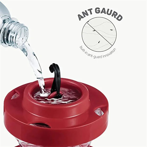 Bee-Proof Hanging Hummingbird Feeder with Ant Moat and Perch
