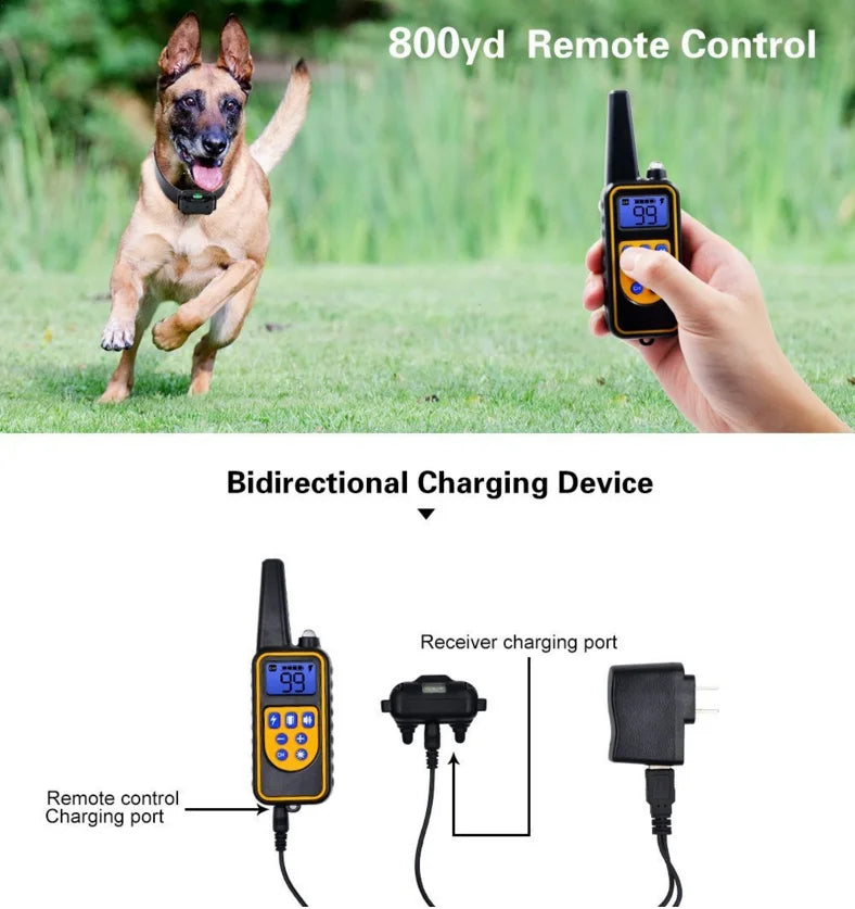 Electric Waterproof Dog Training Collar with Remote Control