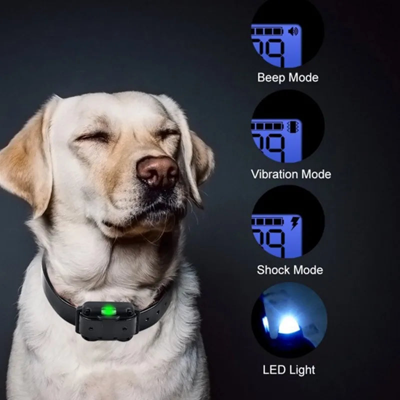 Electric Waterproof Dog Training Collar with Remote Control