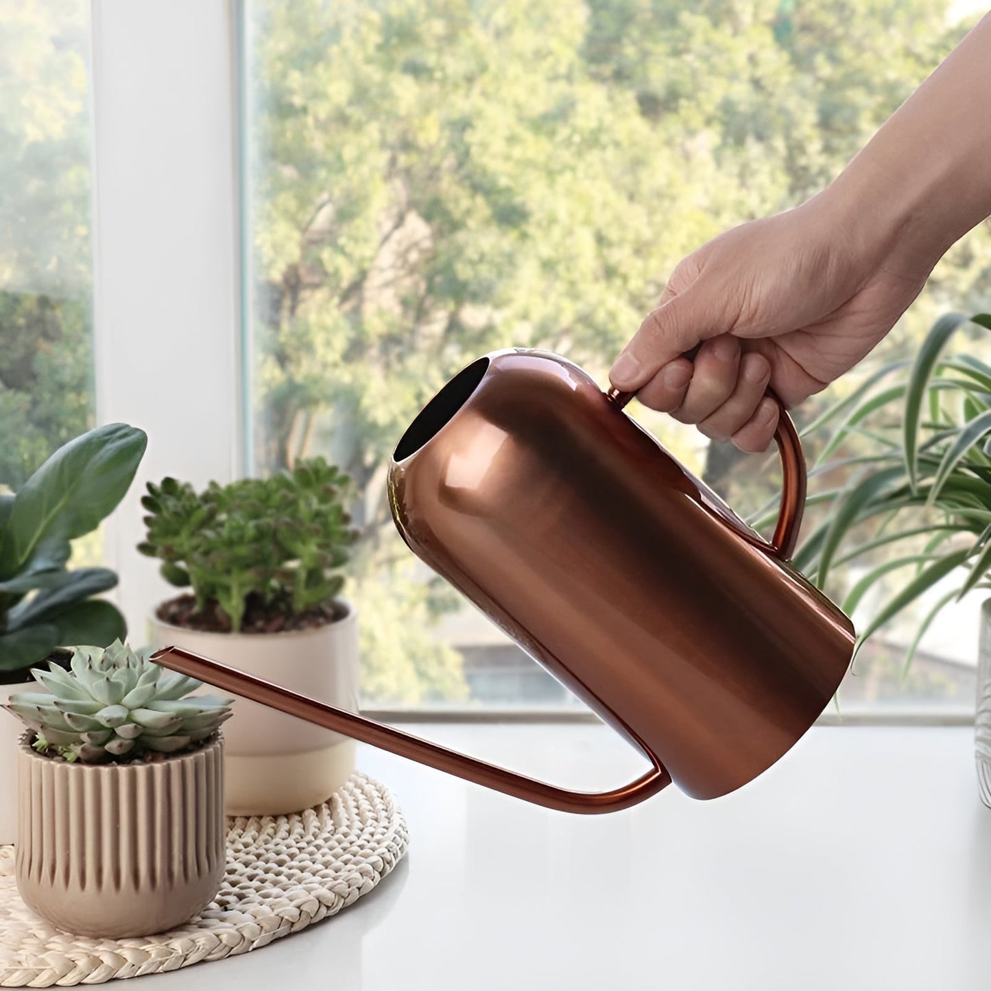 Stainless Steel Watering Can 1.5L with Precision Spout