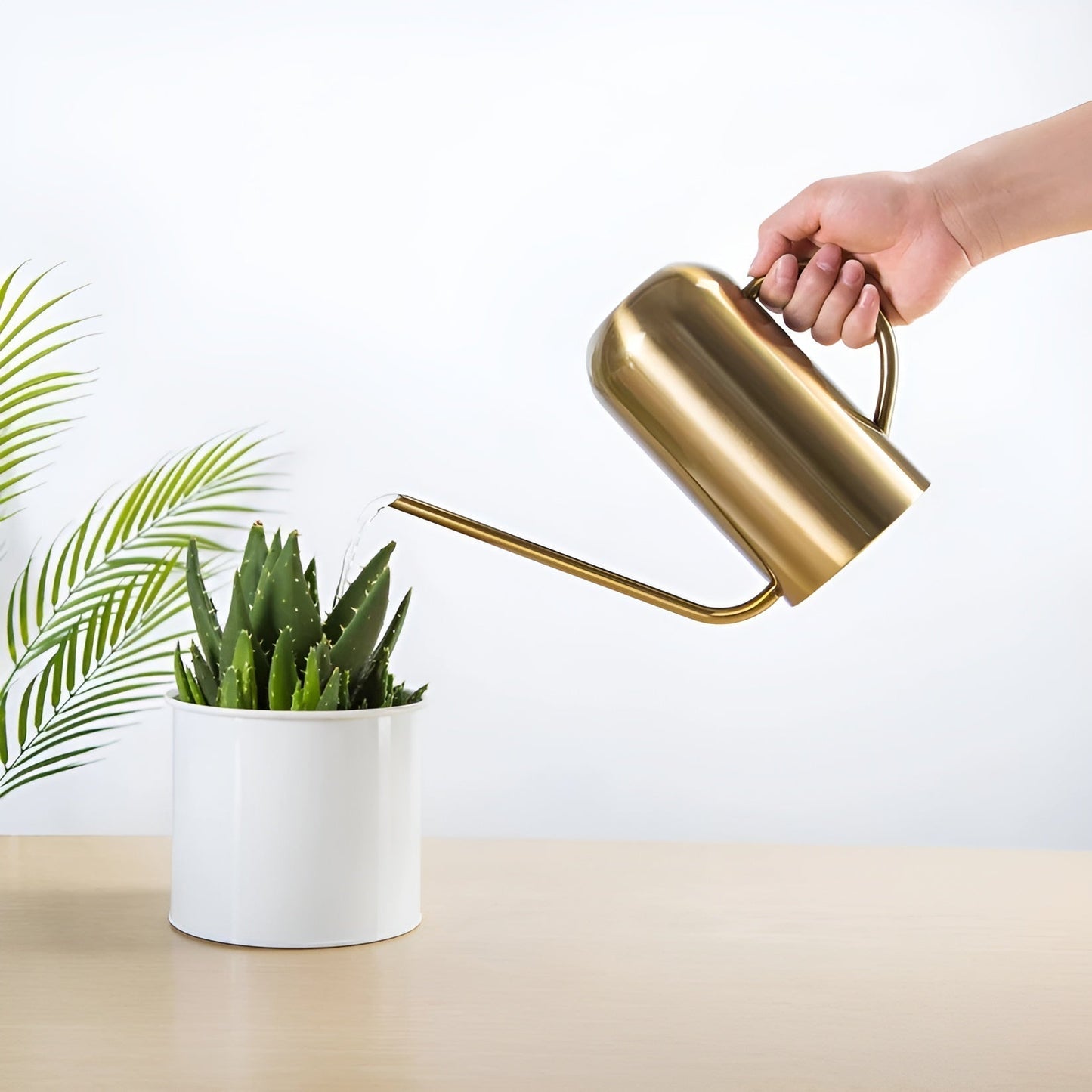 Stainless Steel Watering Can 1.5L with Precision Spout
