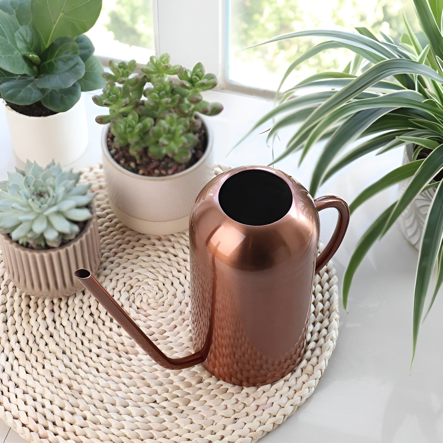 Stainless Steel Watering Can 1.5L with Precision Spout