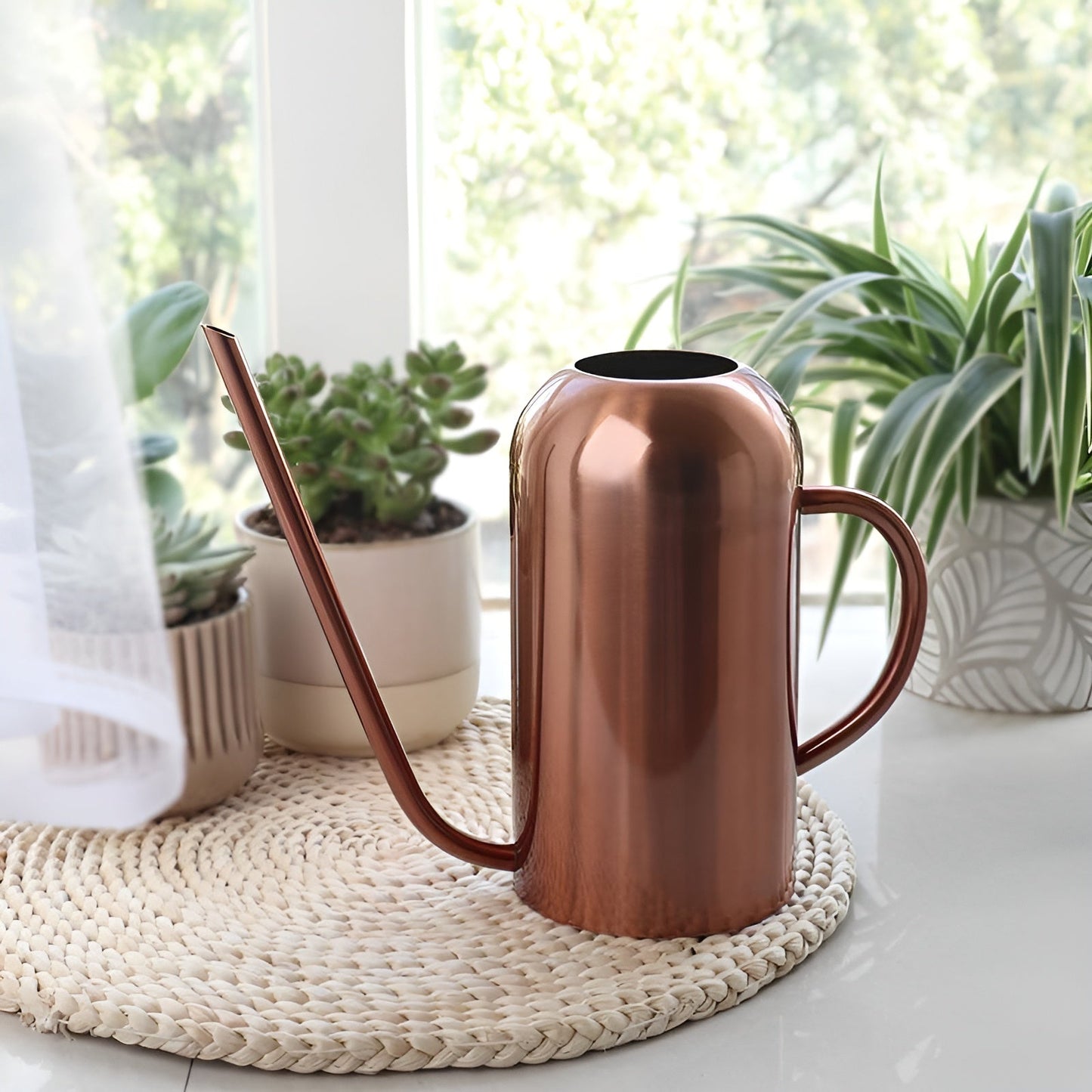 Stainless Steel Watering Can 1.5L with Precision Spout