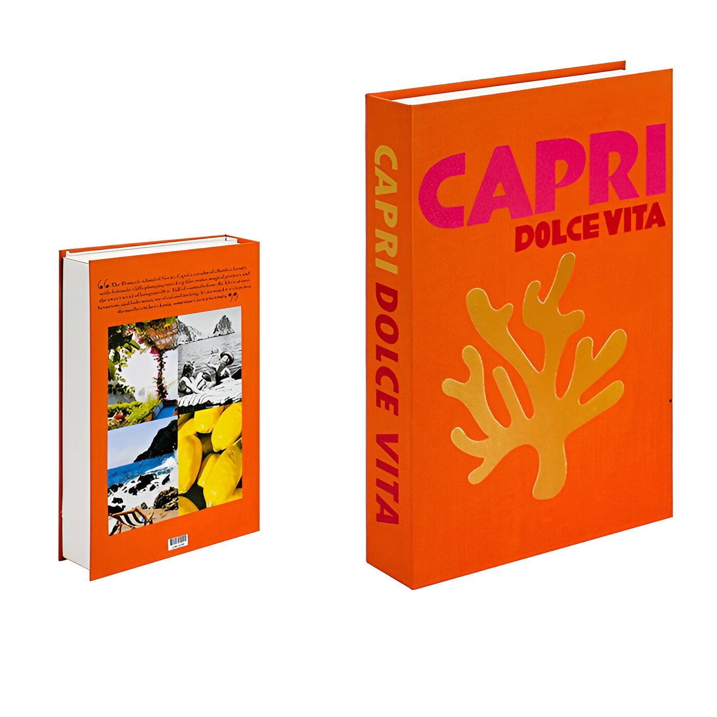 Chic Faux Decorative Coffee Table Books with Hidden Storage